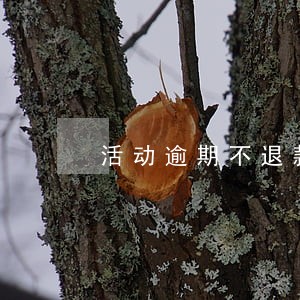 活动逾期不退款 活动逾期不退款