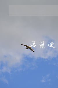 活该受到法律制裁 活该受到法律制裁