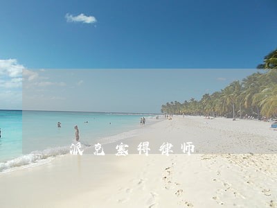 派克塞得律师 派克塞得律师