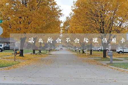 派出所会不会处理信用卡逾期 派出所会不会处理信用卡逾期