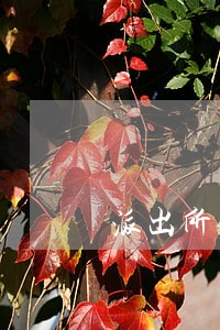 派出所会理信用卡逾期吗 派出所会理信用卡逾期吗