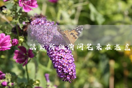派出所做询问笔录在老虎椅违法吗