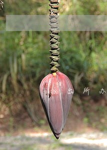 派出所办案逾期行政诉讼 派出所办案逾期行政诉讼
