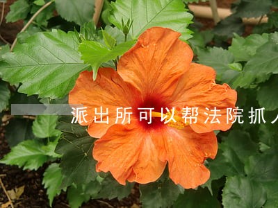 派出所可以帮法院抓人吗 派出所可以帮法院抓人吗