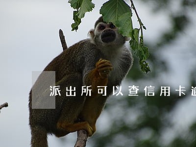 派出所可以查信用卡逾期吗 派出所可以查信用卡逾期吗