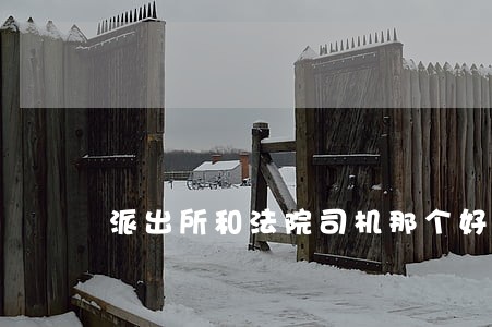 派出所和法院司机那个好