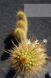 派出所和法院都不立案 派出所和法院都不立案