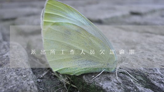 派出所工作人员欠款逾期 派出所工作人员欠款逾期