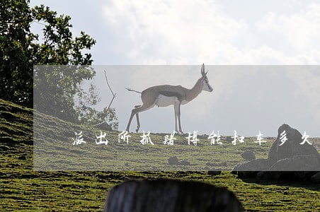 派出所抓赌博能扣车多久 派出所抓赌博能扣车多久