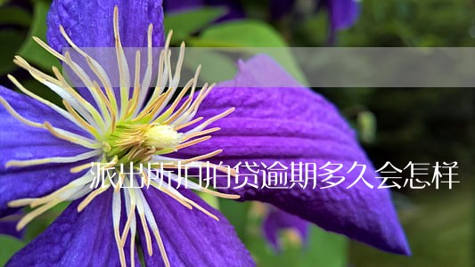 派出所拍拍贷逾期多久会怎样 派出所拍拍贷逾期多久会怎样