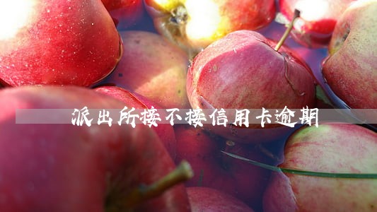 派出所接不接信用卡逾期 派出所接不接信用卡逾期