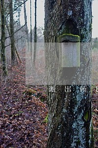 派出所民警本人欠款逾期 派出所民警本人欠款逾期