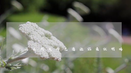 派出所父母无违法记录证明吗 派出所父母无违法记录证明吗