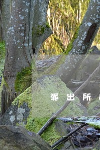 派出所违法记录怎么查 派出所违法记录怎么查