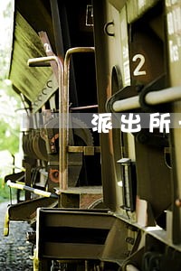 派出所长生育三胎违法吗