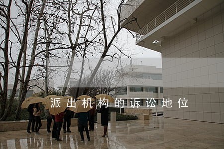 派出机构的诉讼地位 派出机构的诉讼地位
