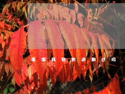 派派钱包有逾期过吗 派派钱包有逾期过吗