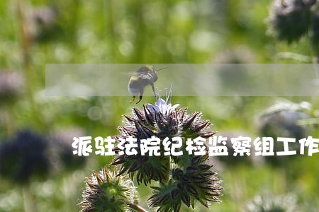 派驻法院纪检监察组工作计划 派驻法院纪检监察组工作计划