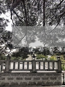 流动负债逾期一年未能偿还 流动负债逾期一年未能偿还