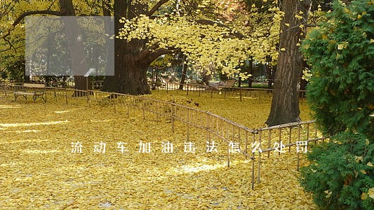 流动车加油违法怎么处罚 流动车加油违法怎么处罚