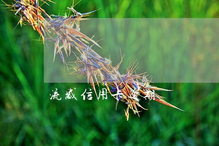 流感信用卡逾期 流感信用卡逾期