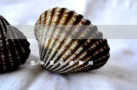 流水显示逾期吗 流水显示逾期吗