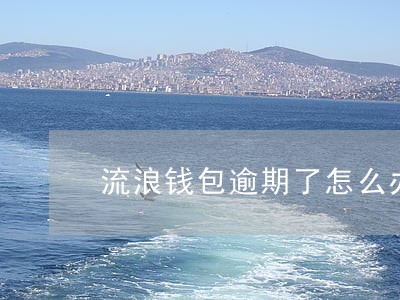 流浪钱包逾期了怎么办 流浪钱包逾期了怎么办