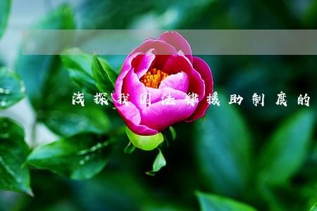 浅探我国法律援助制度的科学发展 浅探我国法律援助制度的科学发展