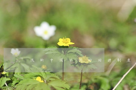 浅析中国古代的回避制度 浅析中国古代的回避制度