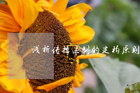 浅析传播法制的建构原则 浅析传播法制的建构原则