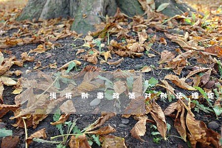 浅析刑事政策对刑法理论的影响 浅析刑事政策对刑法理论的影响