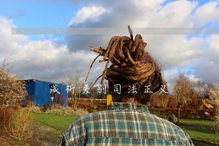 浅析差别司法正义 浅析差别司法正义
