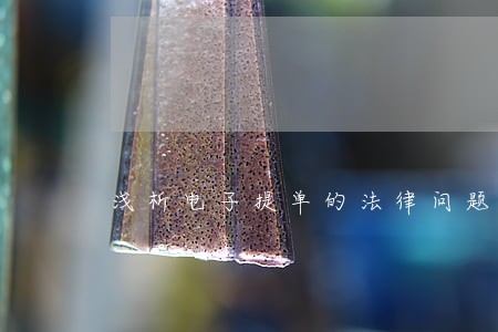 浅析电子提单的法律问题 浅析电子提单的法律问题