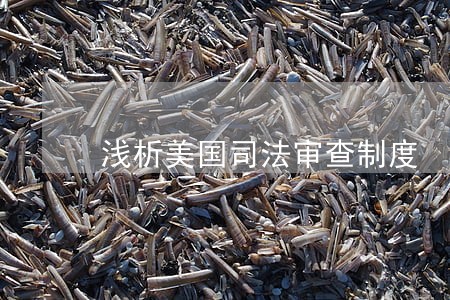 浅析美国司法审查制度 浅析美国司法审查制度