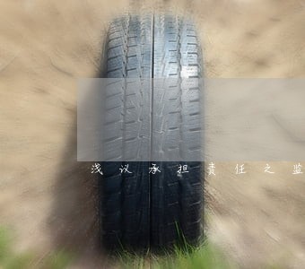 浅议承担责任之监护人的诉讼地位 浅议承担责任之监护人的诉讼地位