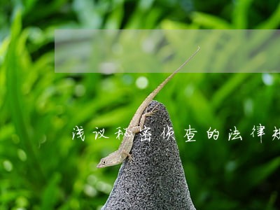 浅议秘密侦查的法律规制