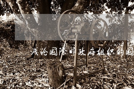 浅论国际非政府组织的国际法地位 浅论国际非政府组织的国际法地位