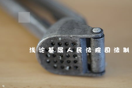 浅论基层人民法院司法制度改革 浅论基层人民法院司法制度改革