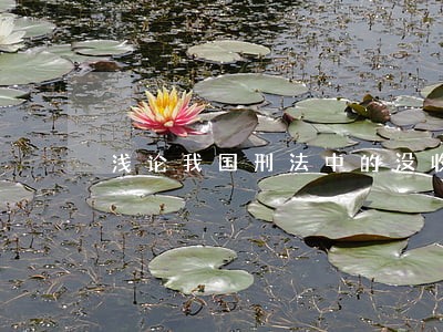 浅论我国刑法中的没收财产刑 浅论我国刑法中的没收财产刑