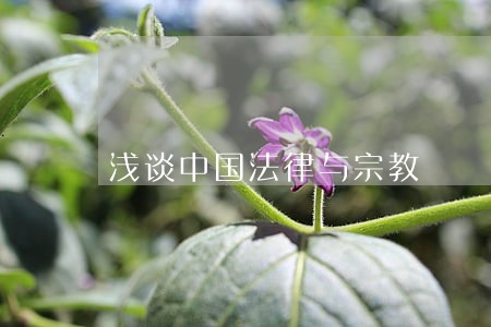 浅谈中国法律与宗教 浅谈中国法律与宗教