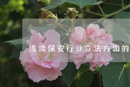 浅谈保安行业立法方面的问题 浅谈保安行业立法方面的问题