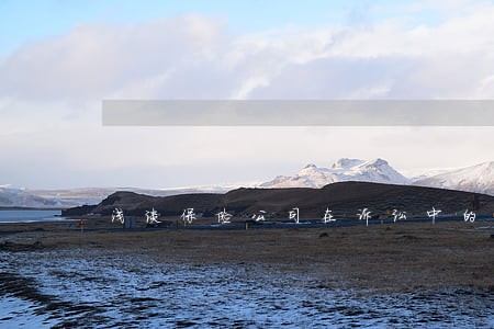浅谈保险公司在诉讼中的困局下载 浅谈保险公司在诉讼中的困局下载