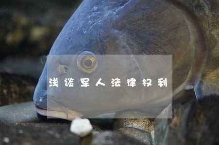 浅谈军人法律权利 浅谈军人法律权利