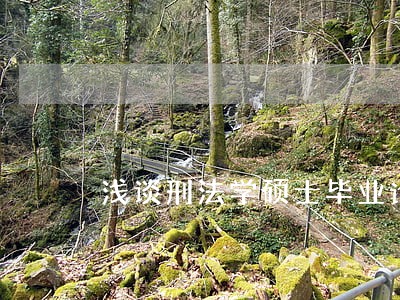浅谈刑法学硕士毕业论文 浅谈刑法学硕士毕业论文
