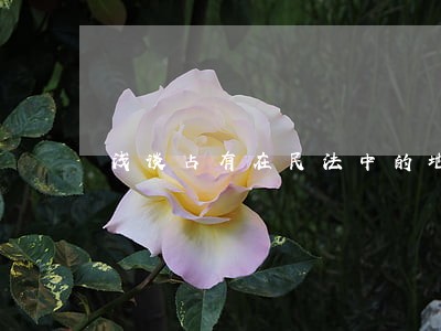 浅谈占有在民法中的地位及效力 浅谈占有在民法中的地位及效力