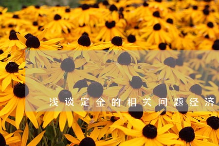 浅谈定金的相关问题经济法论文 浅谈定金的相关问题经济法论文