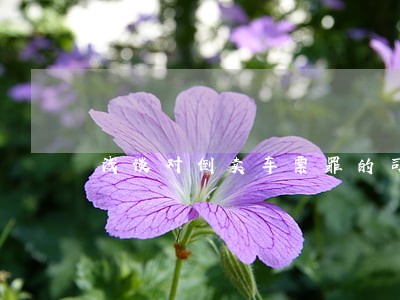 浅谈对倒卖车票罪的司法理解 浅谈对倒卖车票罪的司法理解