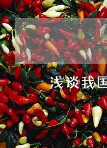 浅谈我国消费者权益的法律保护 浅谈我国消费者权益的法律保护