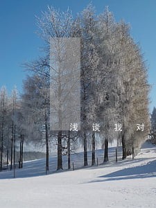 浅谈我对中国法治建设