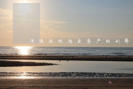 浅谈法院拍卖房产的利弊 浅谈法院拍卖房产的利弊